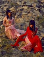 Vietnamese maidens