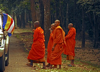 Monks outside Ankor Wat, Cambodia