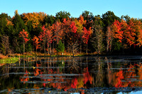 Beaver Pond, Vestal NY