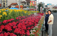 Saigon Revisited